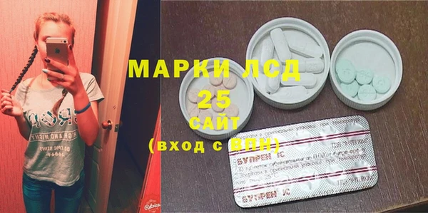 apvp Алзамай