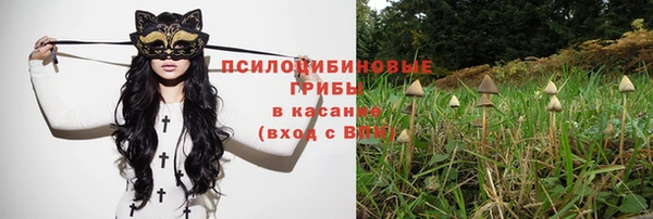 твердый Алексеевка